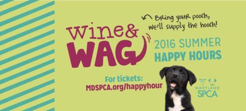 13177480_10153777645774401_4519859241937028569_n