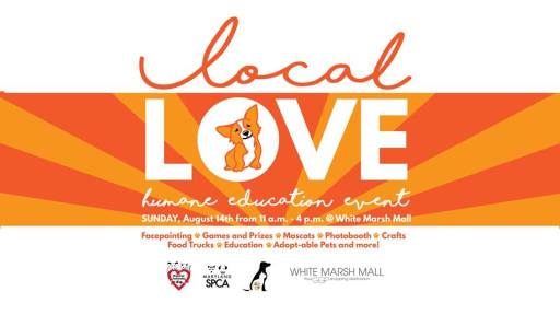 13754688_10153958594269401_39401758407287215_n