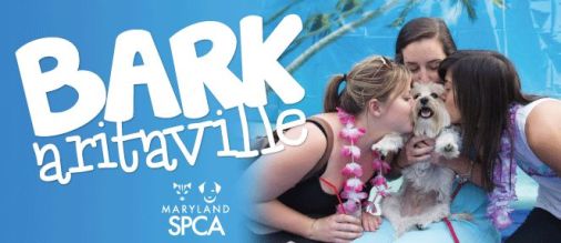 14039969_10154024592059401_4022306060603000609_n