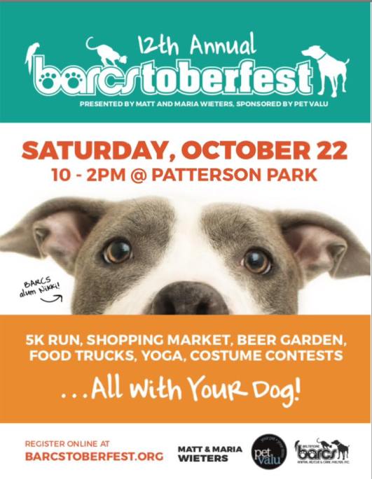 14691046_1240647622644221_1897025262636045911_n