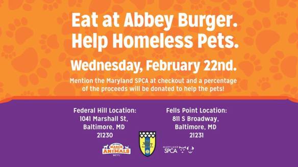 16406486_10154513647924401_3218586919715843915_n