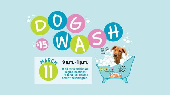 16730174_10154533266729401_481305740097645482_n