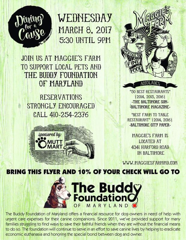 16819450_1909958439292859_6800186113097546560_o