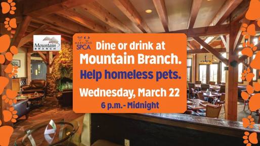 16832196_10154558455659401_7673760139036303418_n