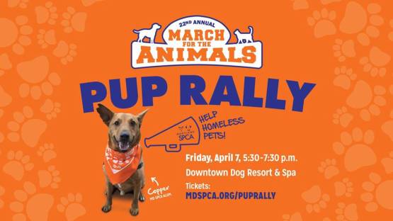 16996272_10154562683849401_3267057432365121659_n