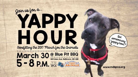 17103667_10154578241384401_8610673687458621275_n