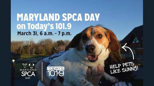 17457647_10154647263769401_6351572806388573312_n