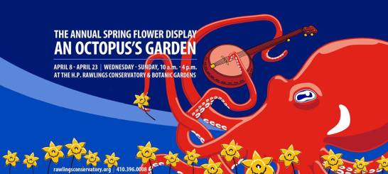 16830854_10154395668582781_5429896590554516595_n