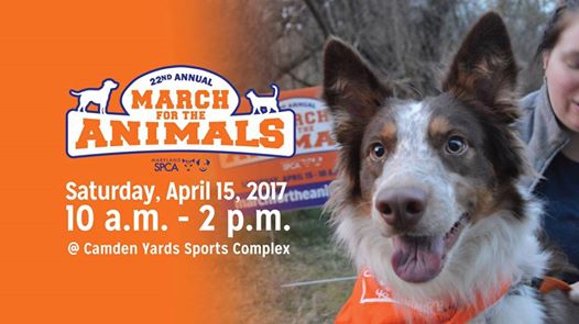 17458433_10154647829904401_3721064301582511342_n