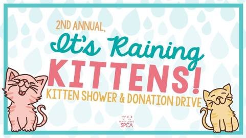 17951555_10154721600409401_3377951147209181271_n