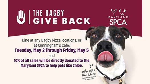 18057777_10154744926979401_6029302342792724599_n