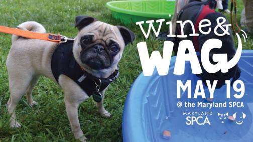 18199094_10154765700969401_3721155268779469565_n