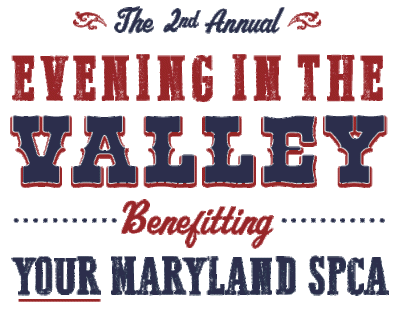 eveninginvalley-2017