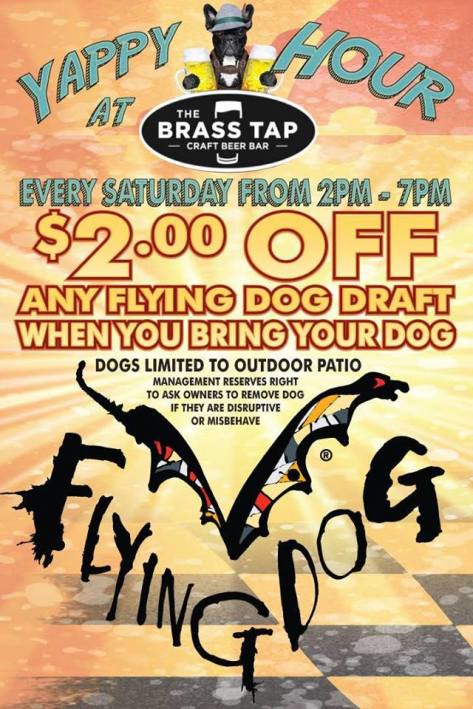 18813719_445169892511648_8964074073875869455_n