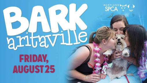 20799246_10155082415984401_8712400546801313980_n