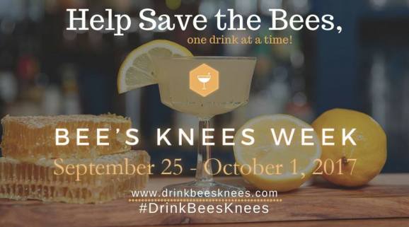 20800224_1493062027422115_2419031592084937529_n