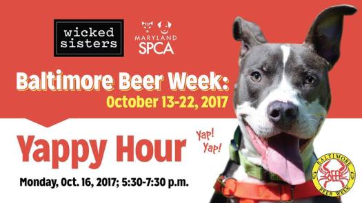 22365411_10155230298609401_4969803532907880251_n