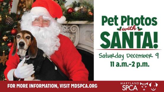 24174396_10155353401889401_5825825558682437255_n