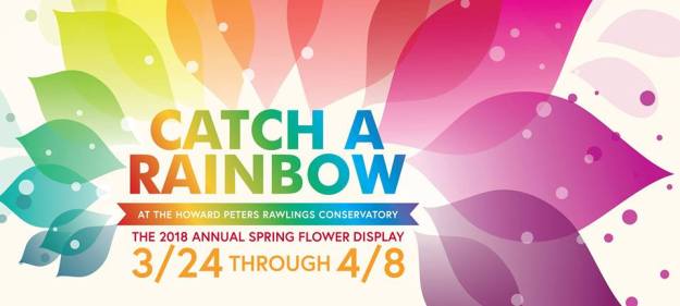 28379189_10155434504352781_6256523462229240811_n