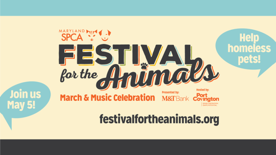 27858378_10155526808599401_1789656864071258024_n