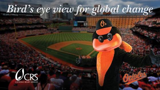 37488596_10155951621289545_279301285172215808_n