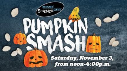 43615018_10155436362036627_2367742292632010752_n