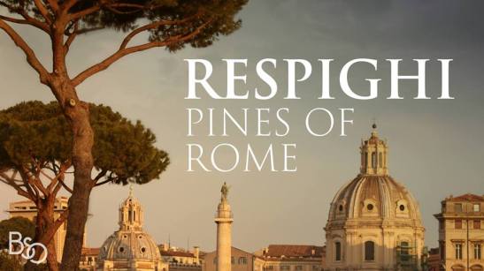 49203138_10156806960139019_8276132564683456512_n