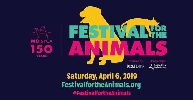 53276110_10156401423789401_5849659454726864896_n