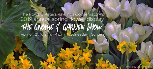 53833962_10156292118927781_8939646097849057280_n