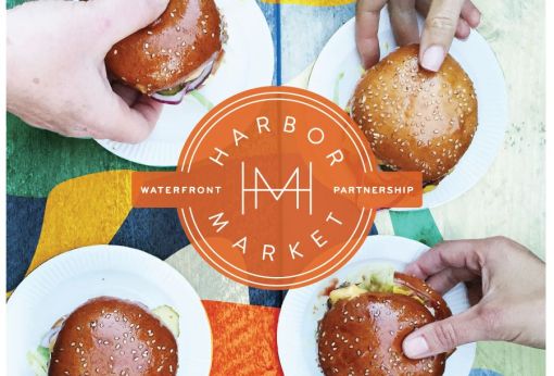 53032377_10156563667414930_7498157070747697152_n