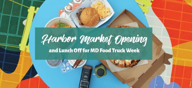 54372158_10156581688064930_40358433290977280_n