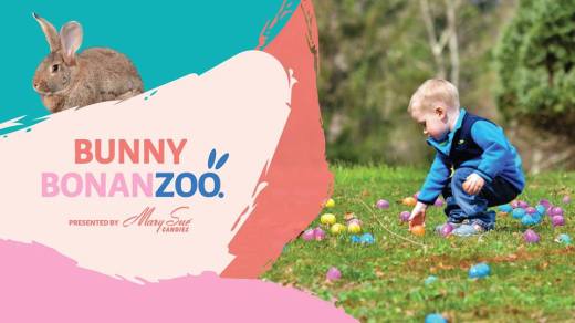 54524006_10151245667359987_2996406366668587008_n