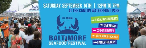 61039353_2515587401793187_409432441984385024_n