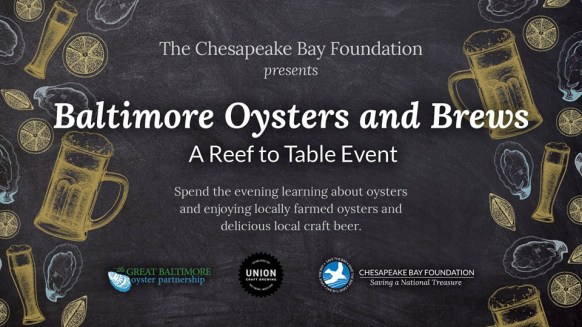 68385949_10157216131395943_1482843940049649664_n